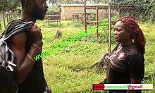 Encontro quente no zoológico do país - Oferta única de Mboa xvideos